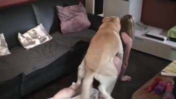 Blonde bombshell banged doggy-style like a slut